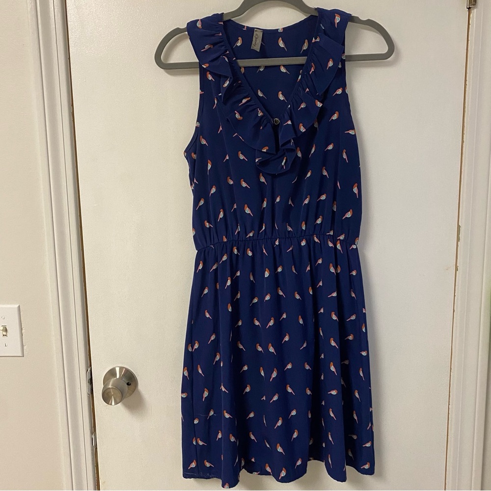 Francesca’s dress navy with bird print